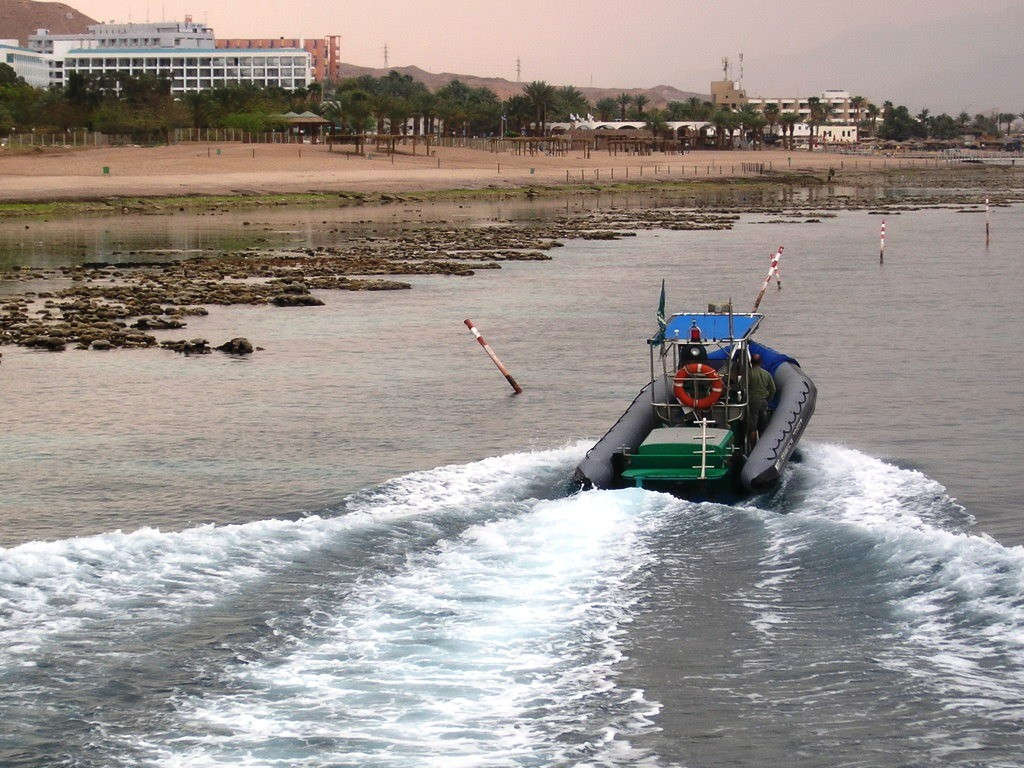 מתי ואיך להתערב בטבע? מטריצת רמספלד כמצפן קוגניטיבי לניהול סיכונים בשמירת טבע